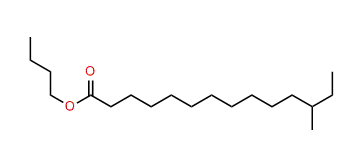 Butyl 12-methyltetradecanoate